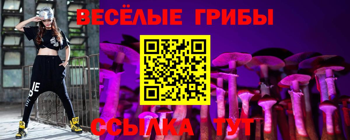 Галлюциногенные грибы Psilocybe  Вход с VPN  Канаш  Псилоцибиновые грибы Magic Shrooms 