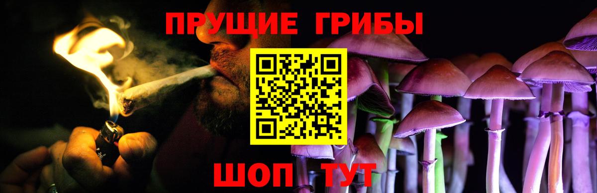 Галлюциногенные грибы Psilocybe Канаш