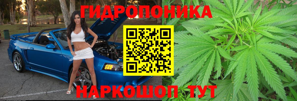 Шишки марихуана VHQ  Вход с VPN  Канаш  Каннабис ГИДРОПОН  Бошки марихуана индика 
